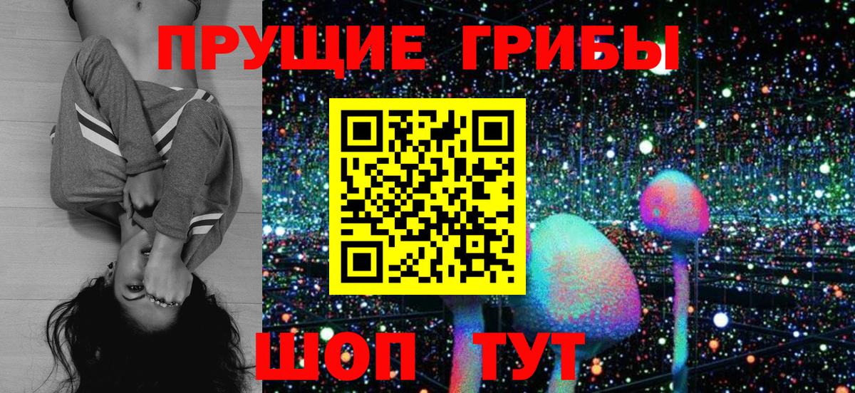 Рязань  Псилоцибиновые грибы ЛСД  где продают наркотики  Вход с VPN  Псилоцибиновые грибы ЛСД 